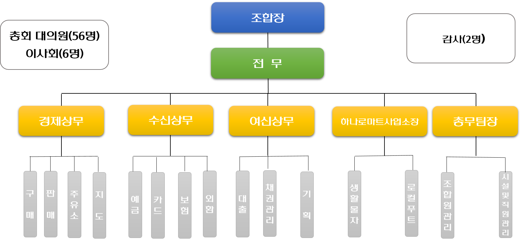 조직도